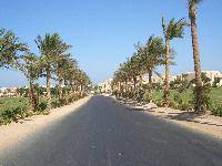 ������ �� ����� � �������