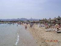 ���� ����� � ����� �� �����