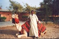 ������� - ���� 019