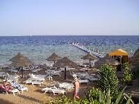 ���� �����