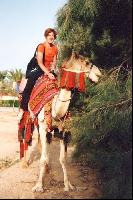 ������� - ���� 022