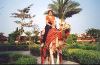 ������� - ���� 023