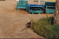 ������� - ���� 024 - ���, ��������, ������-��������...