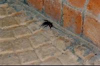 ������� - ���� 026 - ��� ��� ����������!