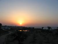 ������. ��� � ������� 56-�� ������� ��������� ����