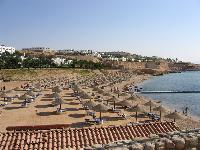 ���� � �������-������