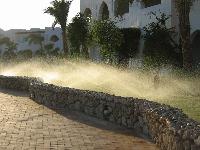 ����� �������� � 56-�� �������