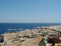 ��� �� ���� ����� �� ����