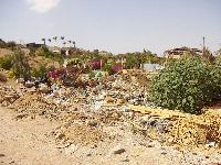 Royal Paradise Resort