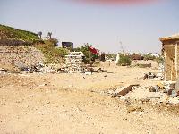 Royal Paradise Resort