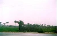 ����� �� �������� � �������