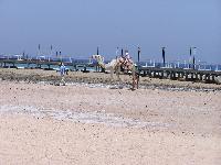 �� �����