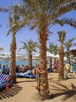 Uni Sharm