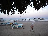 ����  �������