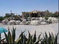 ������ ��������