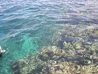 ��� ���. ��� � �������