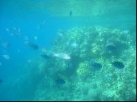 ���� � ����...