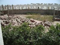 ��� �� ����