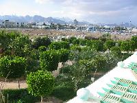 ��� �� ������