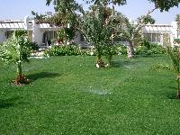 ���������� ����� ��������