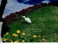 ������ �����