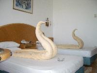 ����� ������ ����� �����