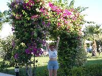 �������, ������