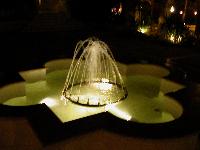 ������ ���