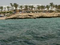 Badawia - ����