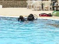 Badawia - ���� �����