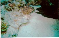 ��� ��� �����!