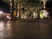 ���� ����