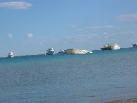 ��� � ����� ����� �� ����