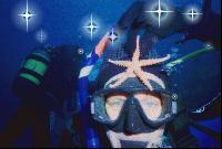 � ������ �������� ����