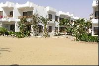 ������ ���