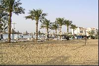 ������ ���