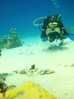 ����� �� ���������