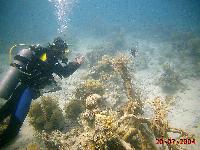 ����������