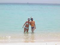 ������ ������