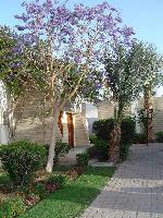 ���������� ����� ������� �����