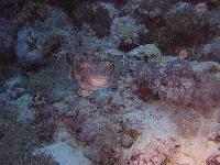 ��������!