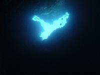 ������ ������ 2005-������� ��