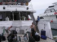 ������-������ 2005