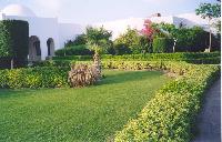 �������, ��������