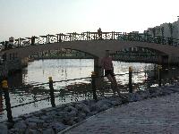 ���� ���