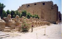 ������. ���������� ����