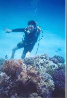 ��������� ���