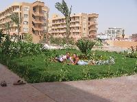 �� �������.