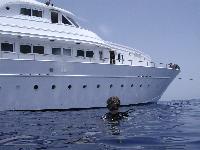 ������������...