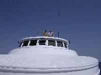 ������ �����, ������ ������...